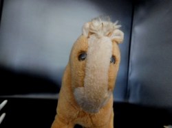 steiff horse face
